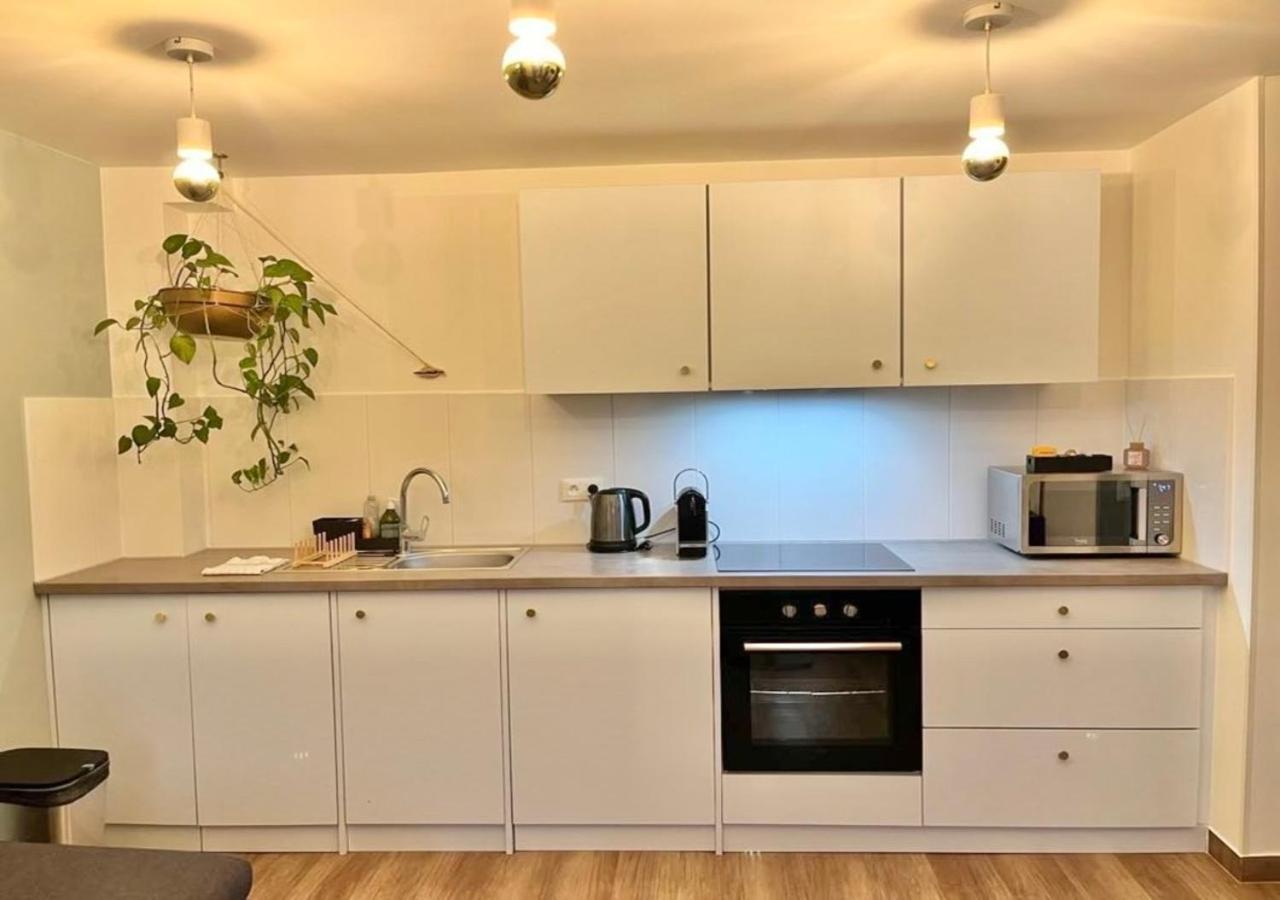 Appartement 2P Strasbourg Centre מראה חיצוני תמונה